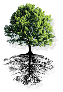 Laser Neuropathy Treatment Butler